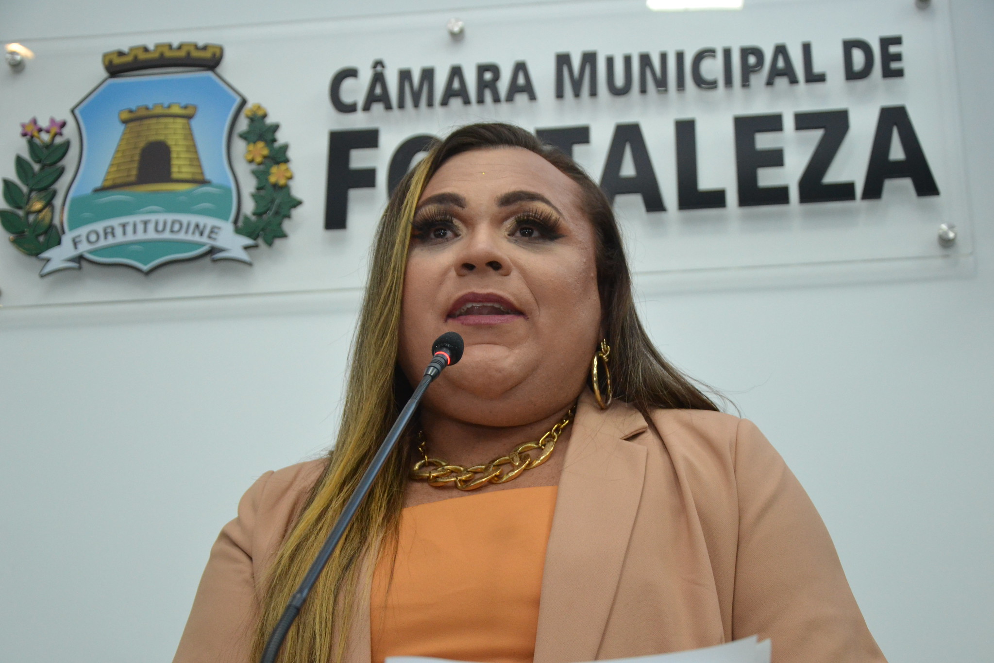 Andrea Rossati discursa na câmara municipal